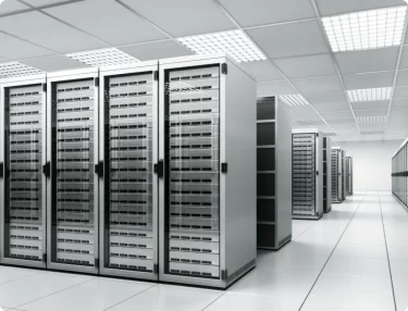 Managed dedicated server hosting with fast performance and easy cPanel and Plesk control panels.